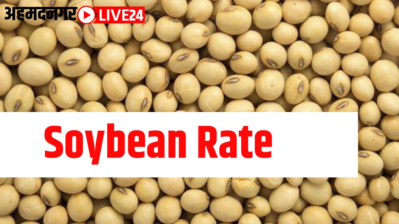 Soybean price