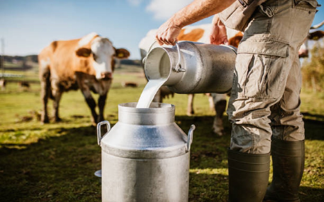 Dairy Farming Nabard Loan
