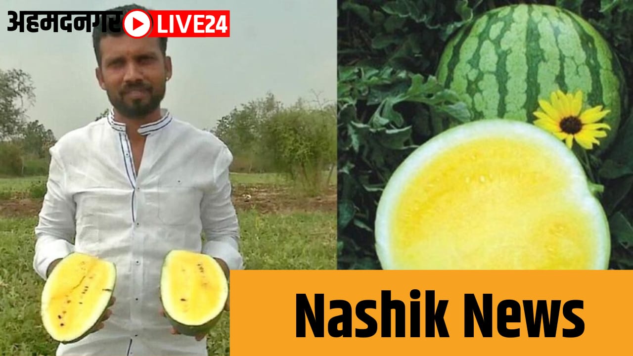 nashik news