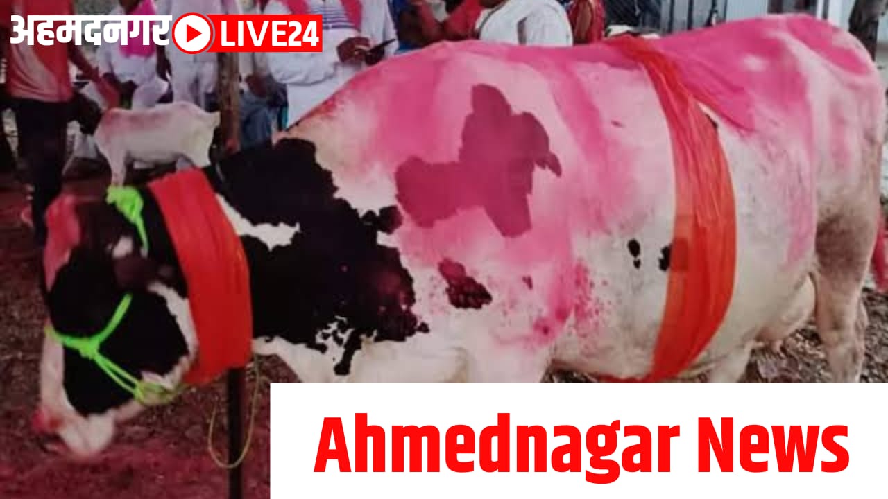 ahmednagar news