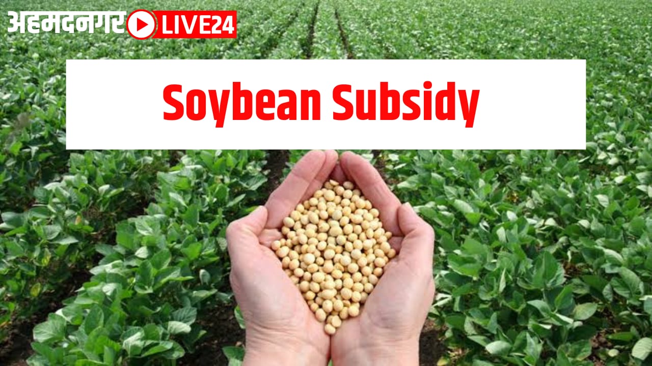 soybean subsidy