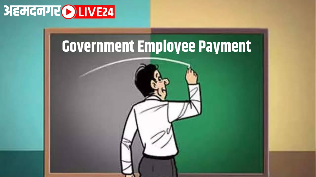 Government Employee Payment