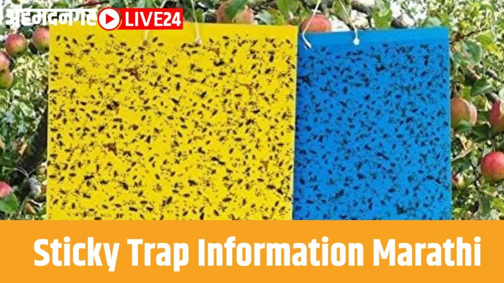 Sticky Trap Information Marathi