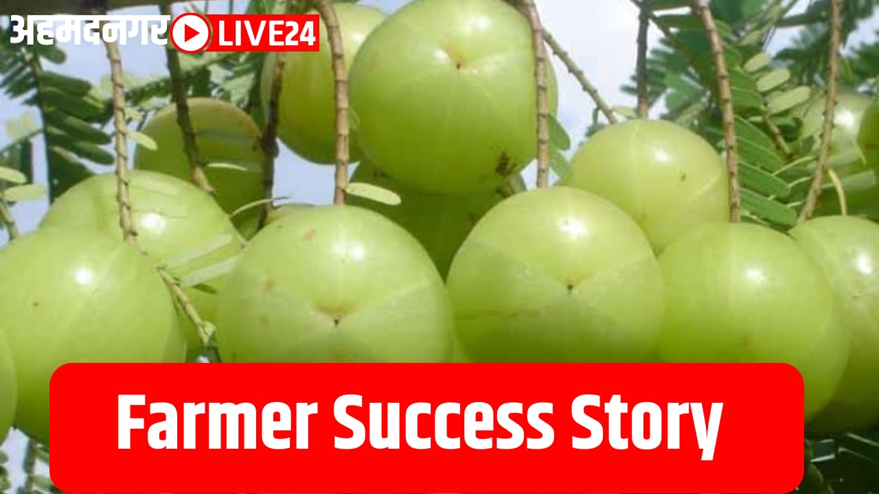 Farmer Success Story