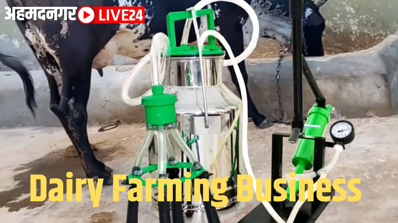 dairy farming business