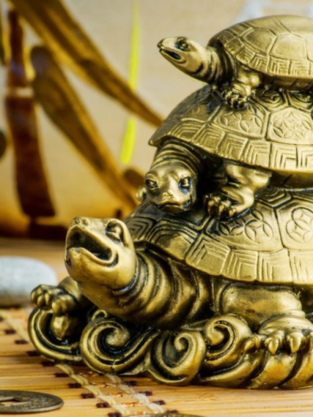 Tips-to-bring-wealth-and-luck-using-tortoise-in-home-decor-FB-1200x700-compressed