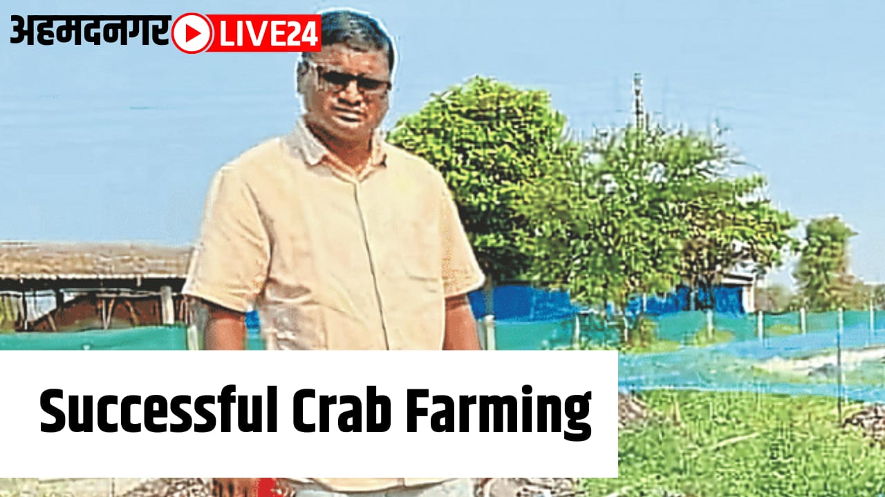 successful crab farming