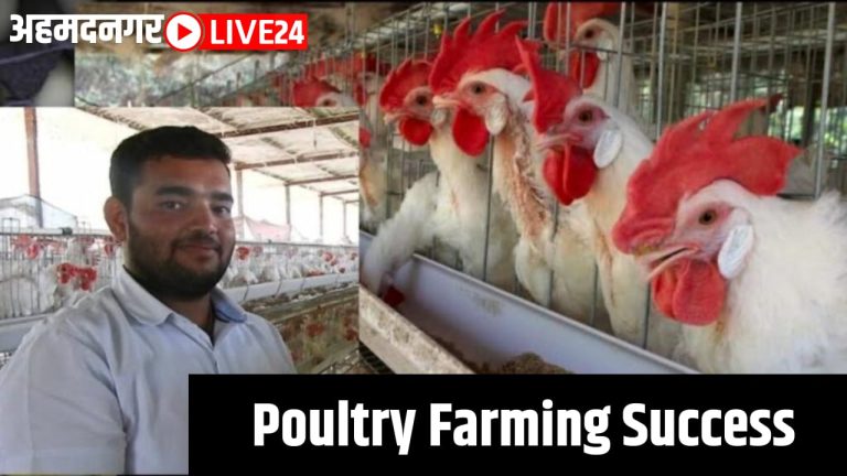poultry farming success
