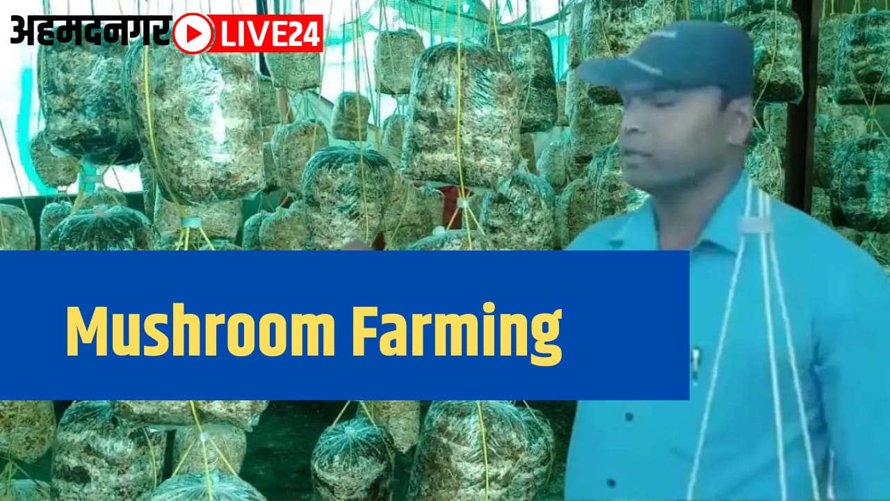 mushroom farming