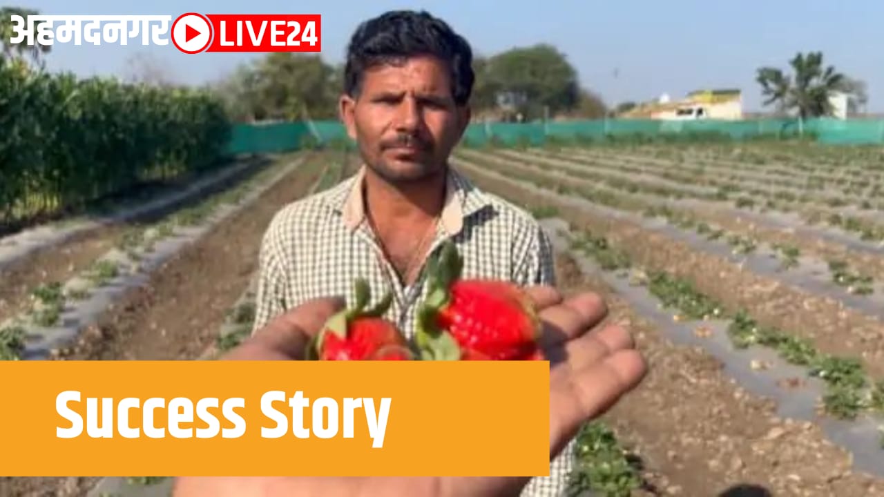 success story
