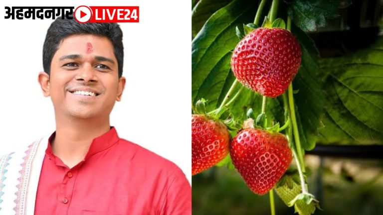 MLA Santosh Danve Strawberry Farming