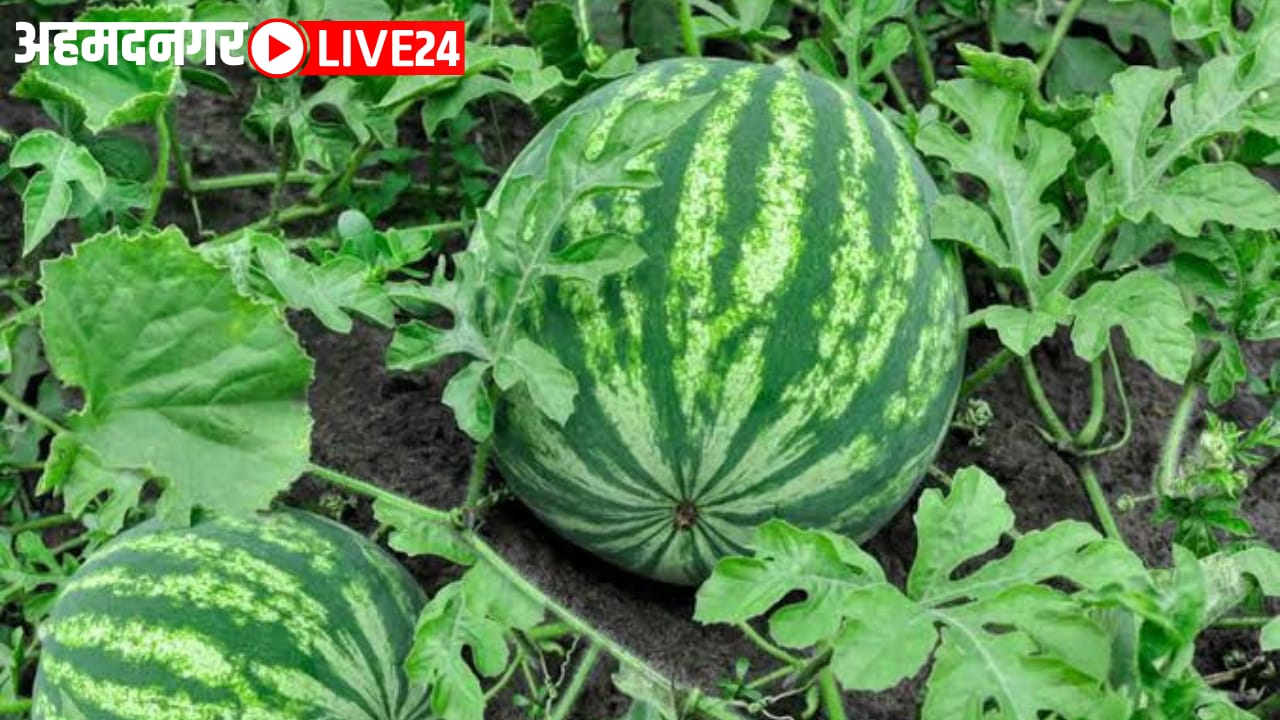 farmer success story