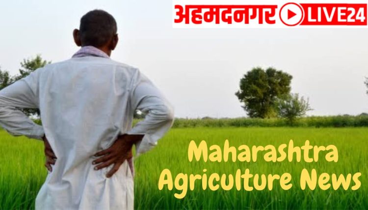maharashtra agriculture loan