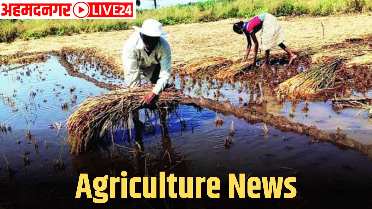 agriculture news