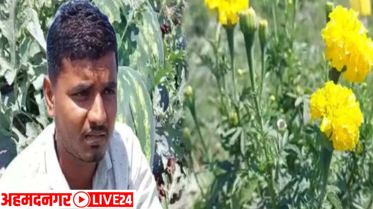 ahmedanagr farmer