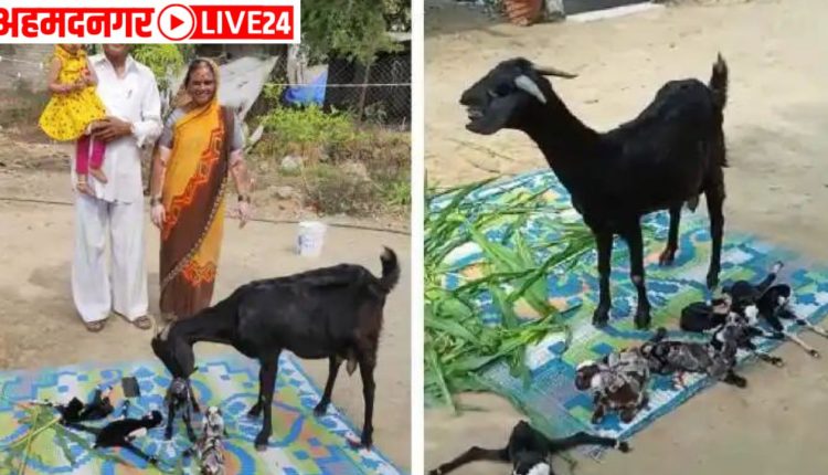 viral news