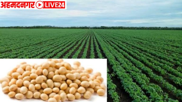 Soybean Farming Kharif Season Tips