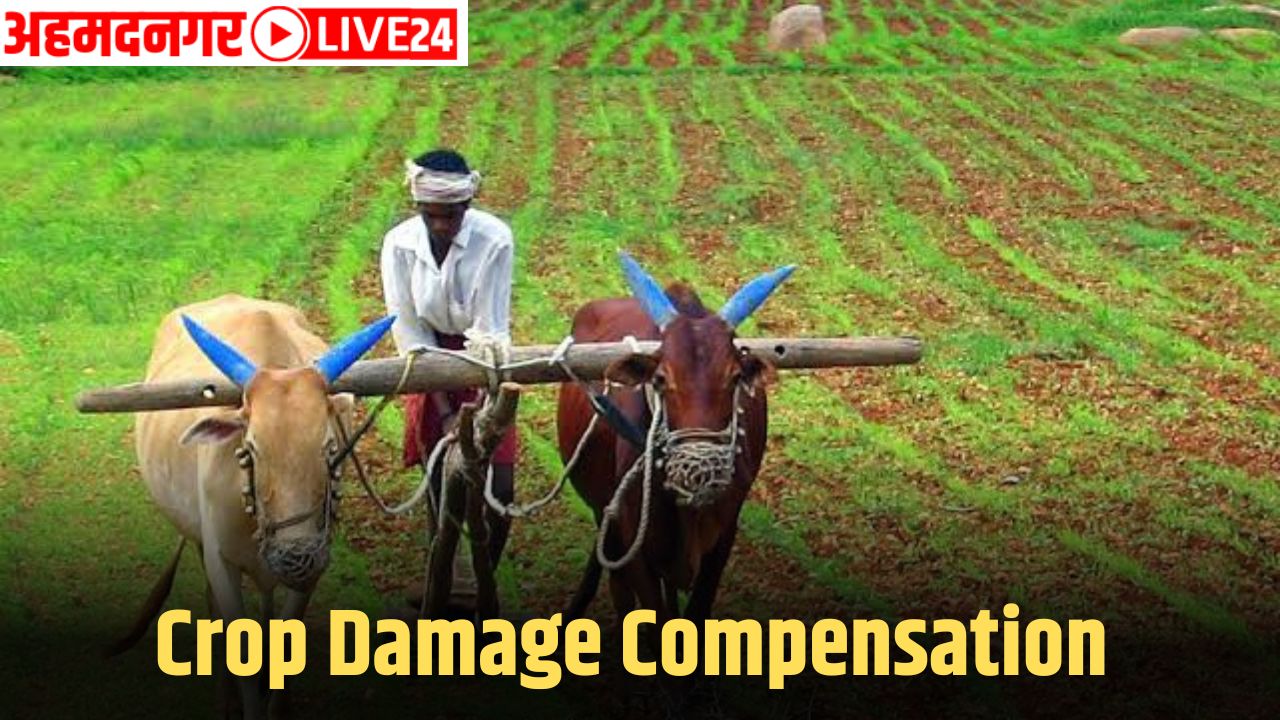 Crop Damage Compensation