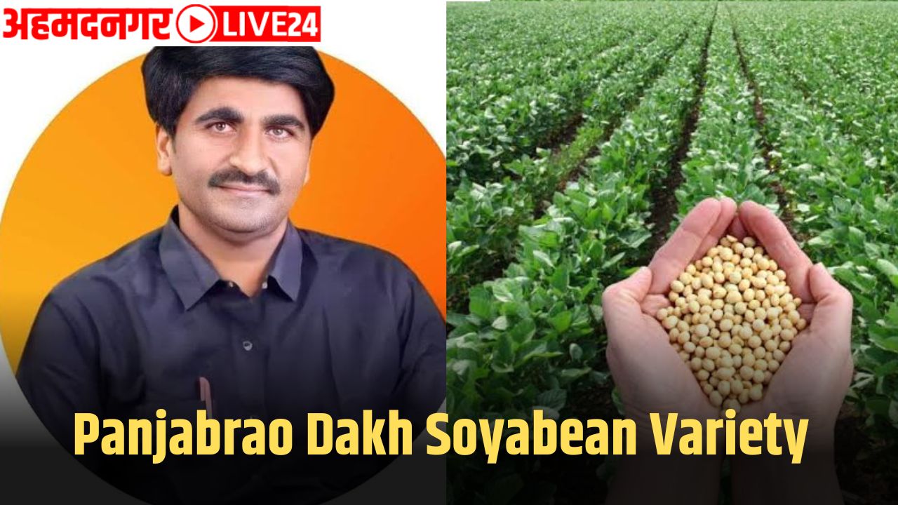 Panjabrao Dakh Soyabean Variety