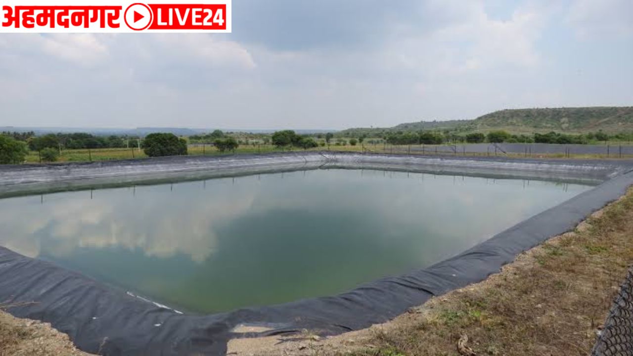 farm pond