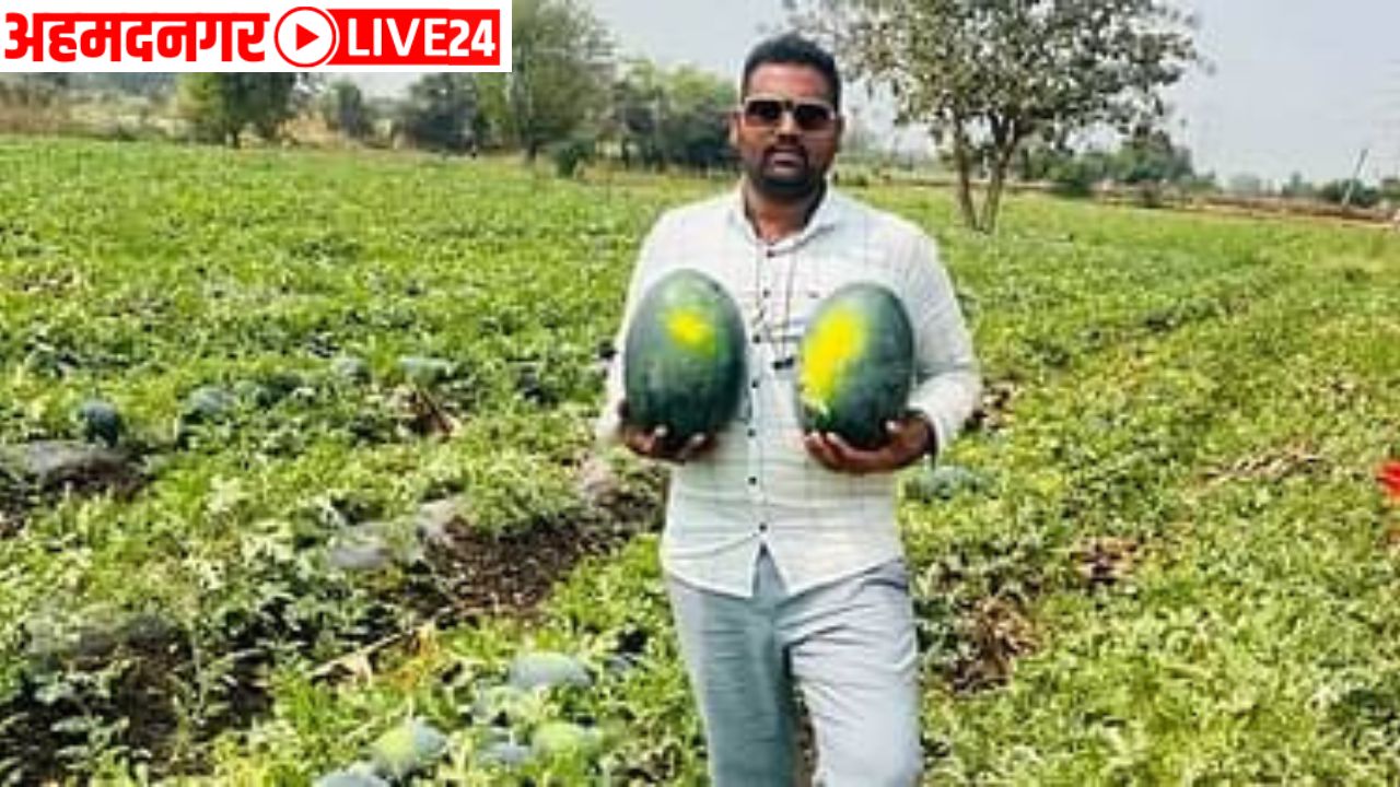 watermelon farming