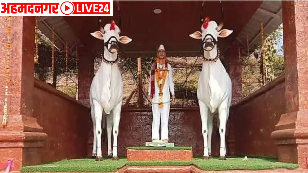 satara news