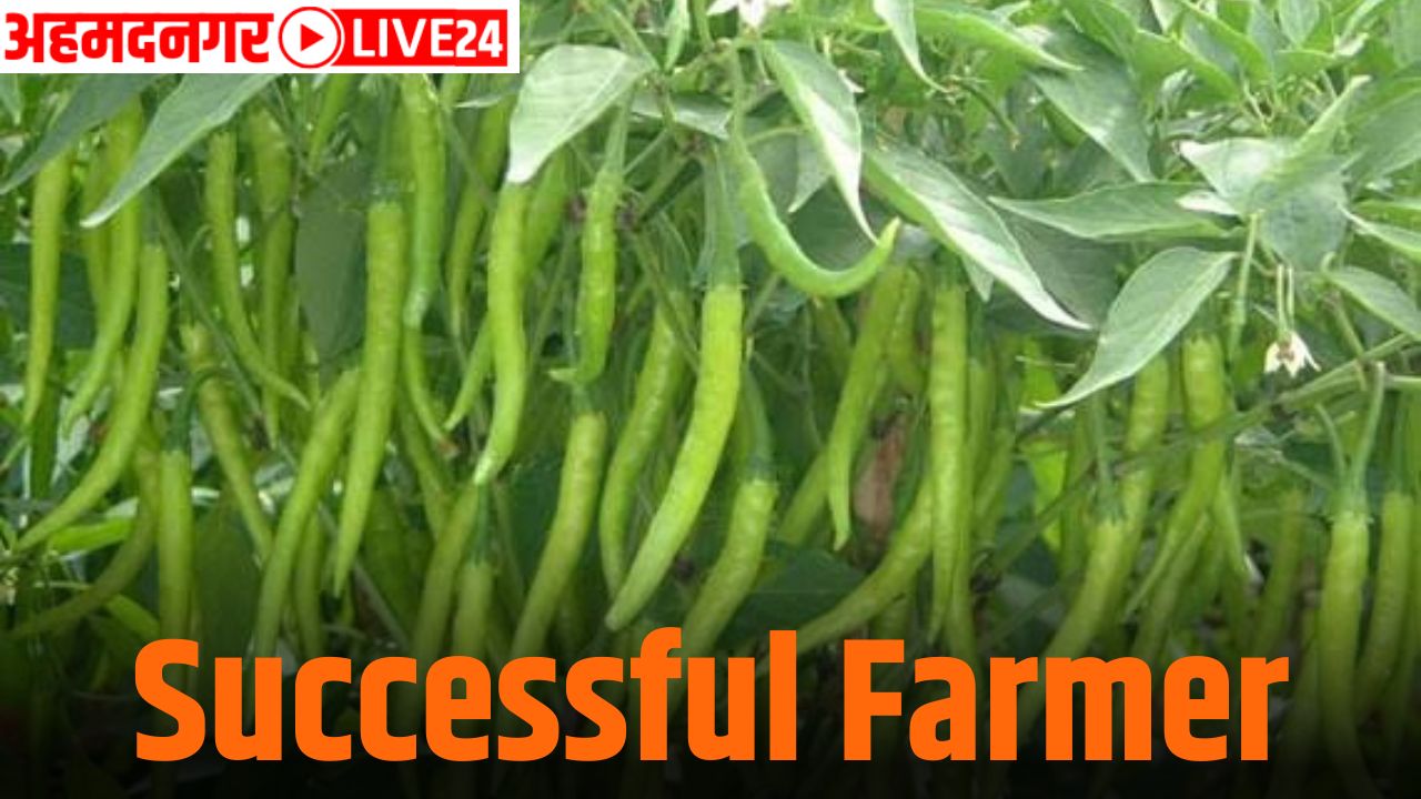 successful farmer