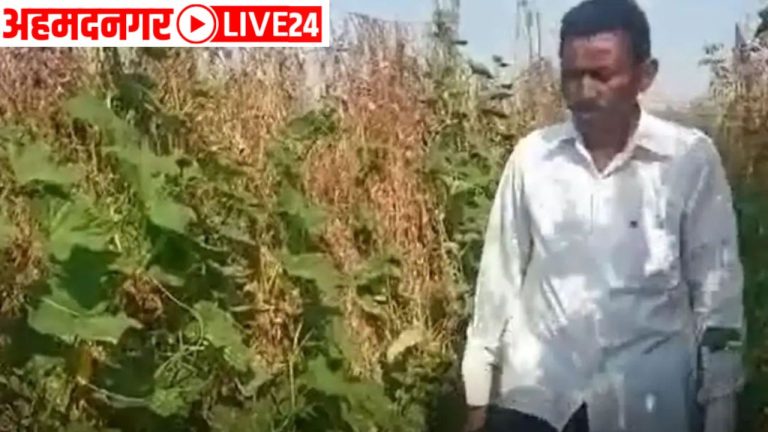 Bhandara Farmer Success Story