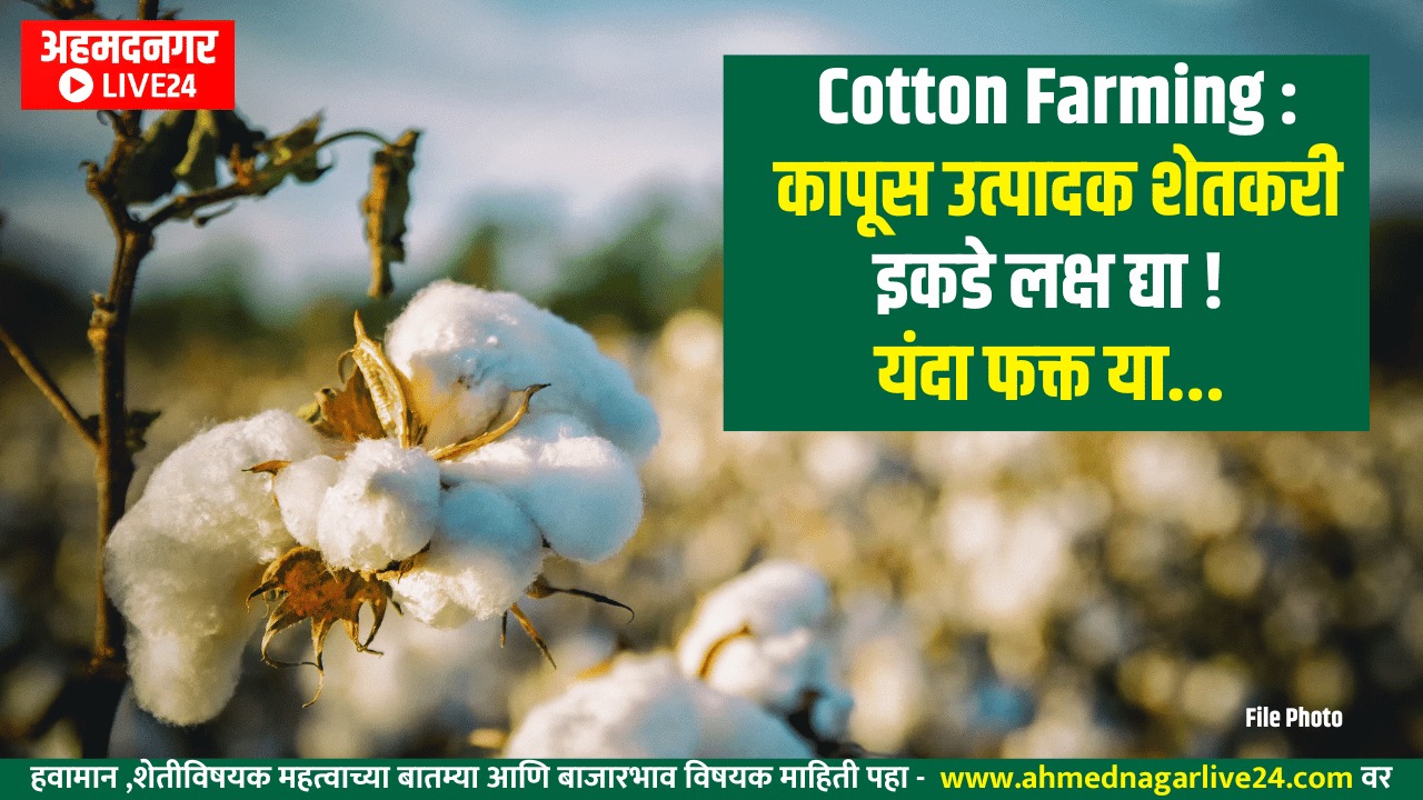 Cotton Farming