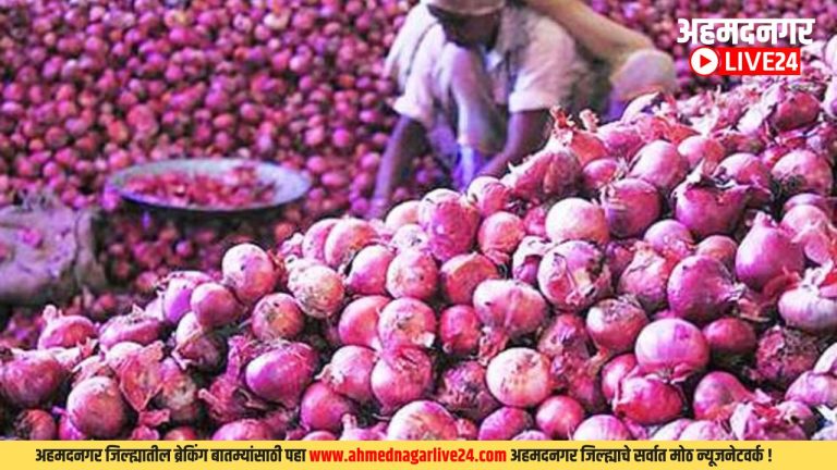 Maharashtra onion