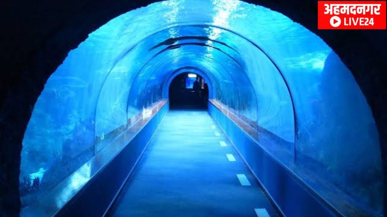 Undersea Tunnel