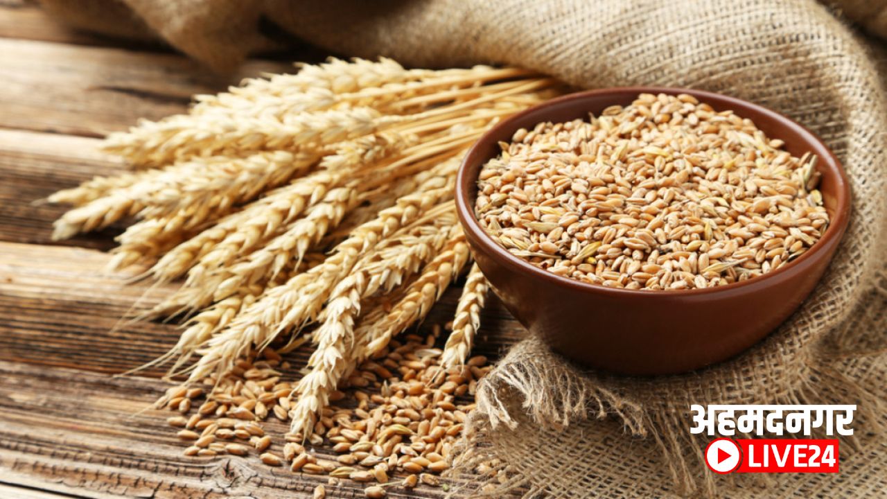 Wheat Price