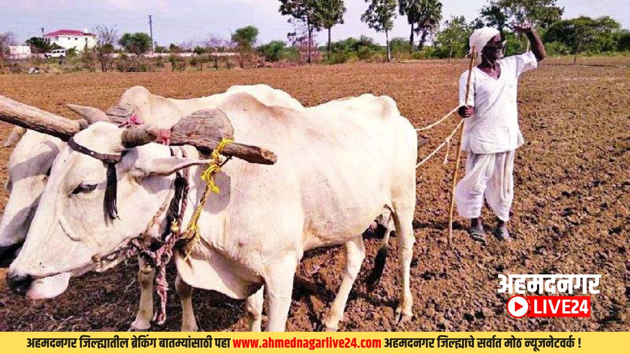 Agriculture News