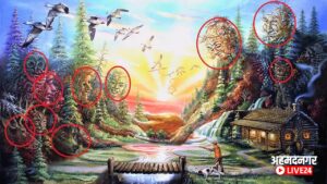 Optical Illusion Quiz