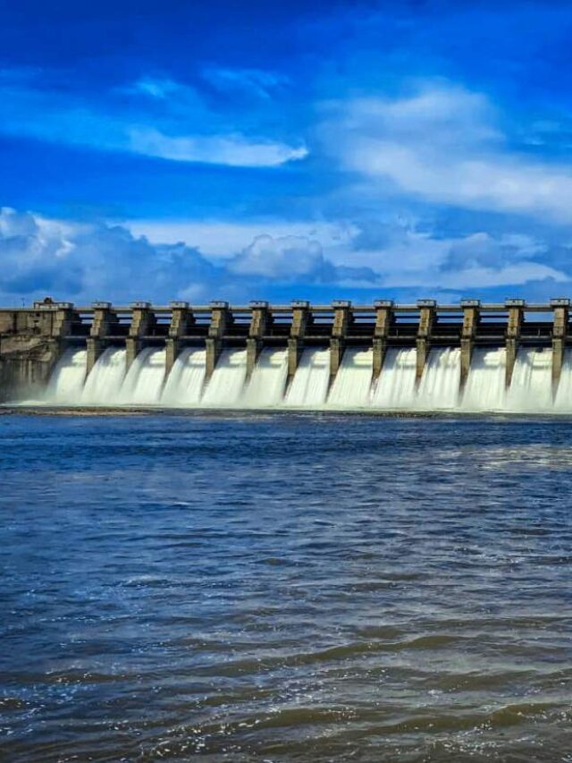 महाराष्ट्रातील पाच धरणे ! यंदाच्या पावसाळ्यात नक्की जा पाहायला