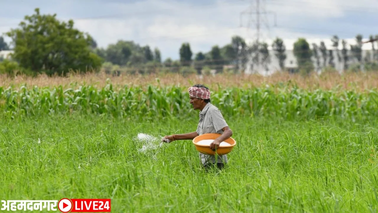 fertilizer