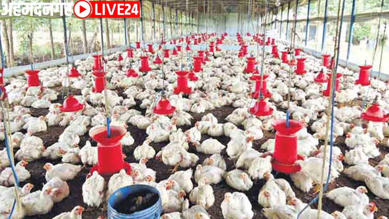 poultry farming