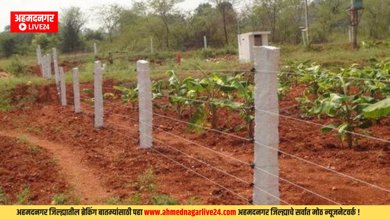 Fence plan