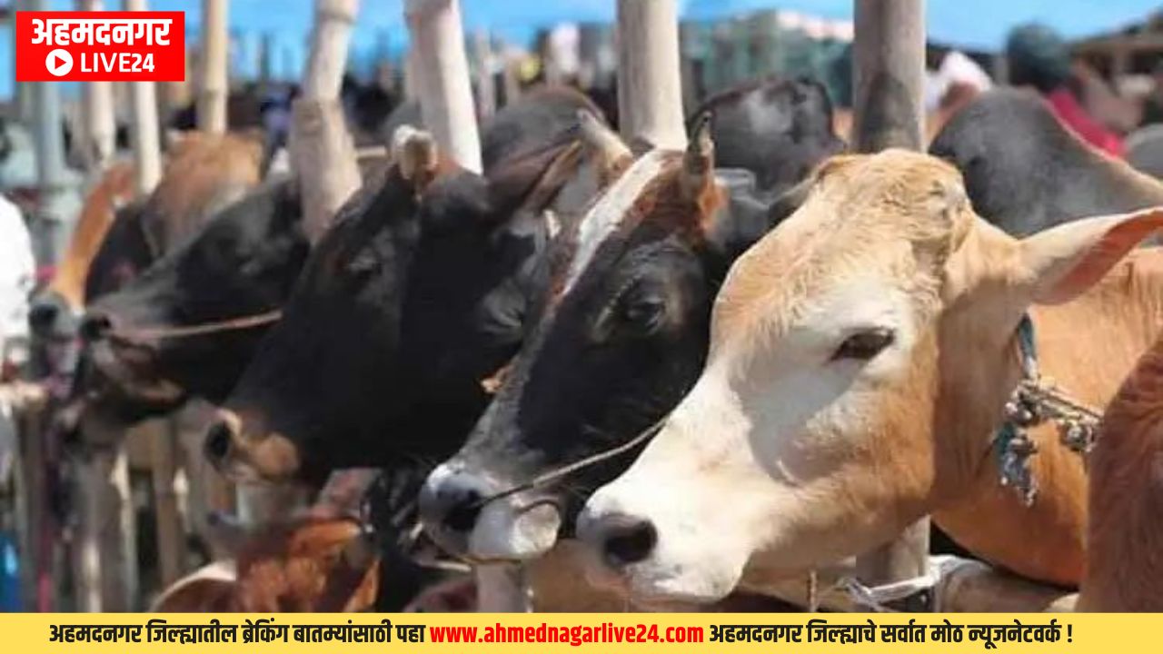 Ahmednagar News