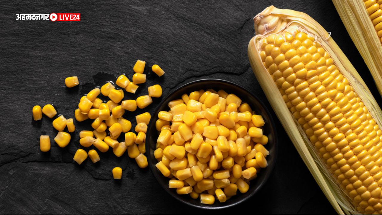 Benefits Of Boiled Corn