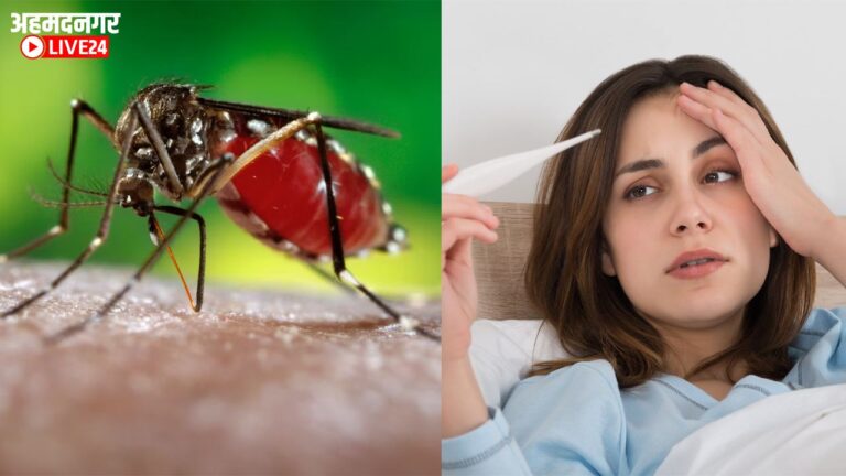Dengue Diet Tips