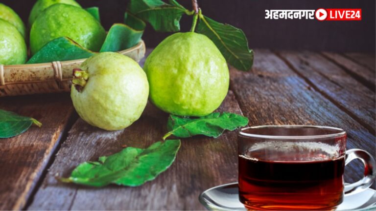 Guava Leaf Tea Benefits