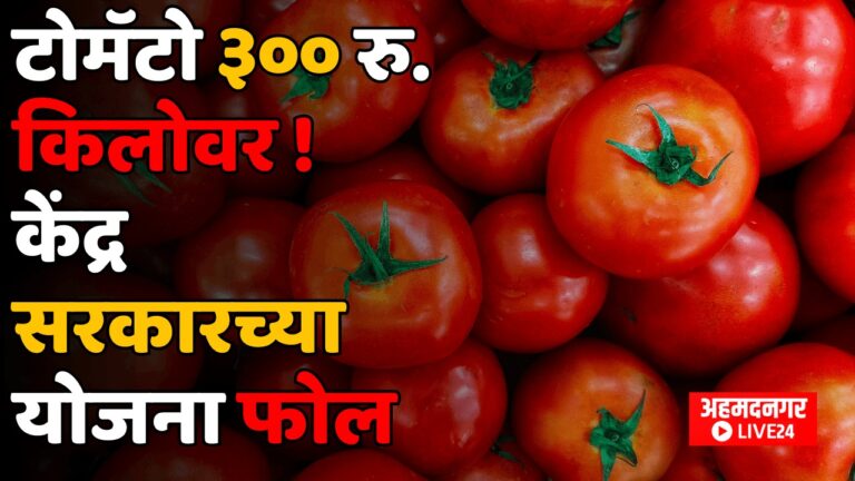 Tomato Price