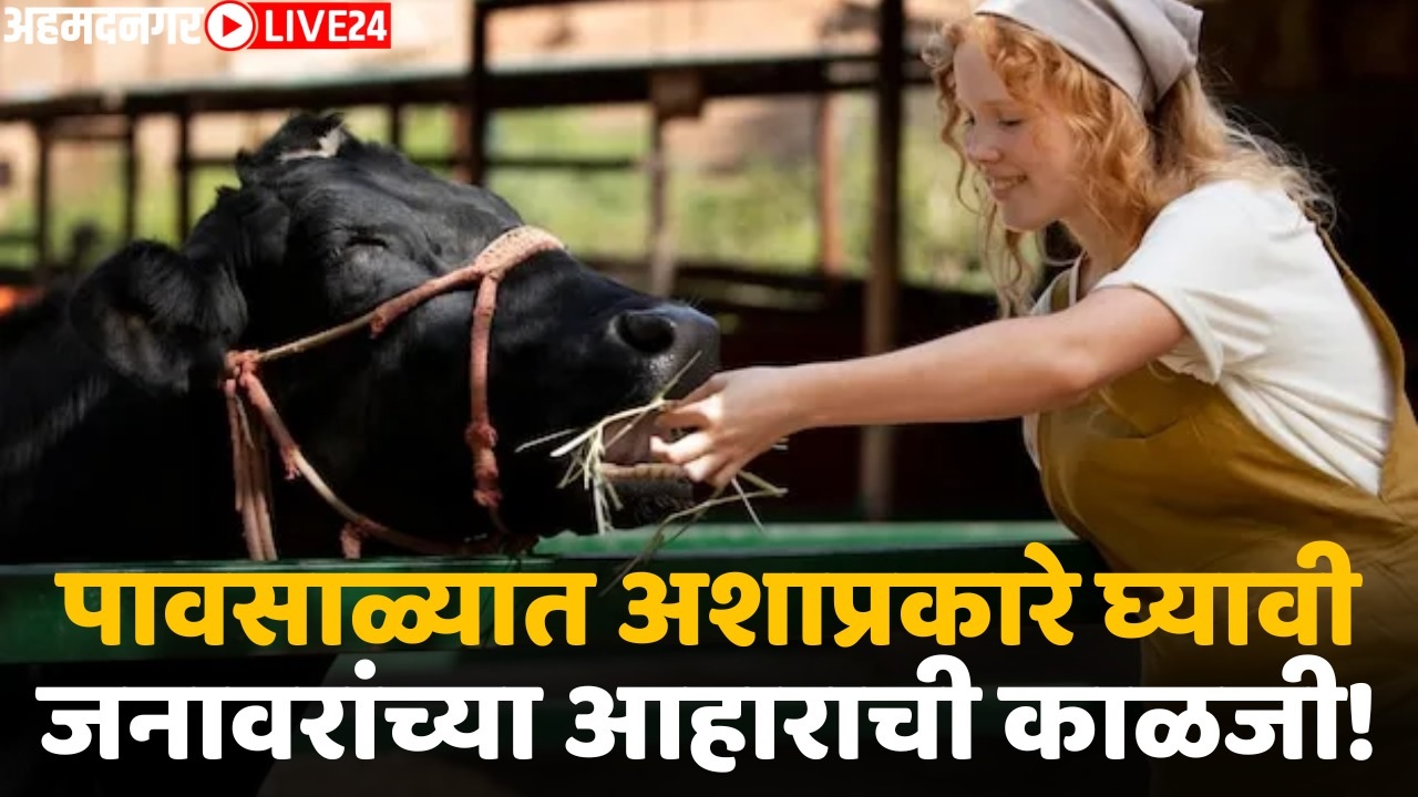 animal husbandry