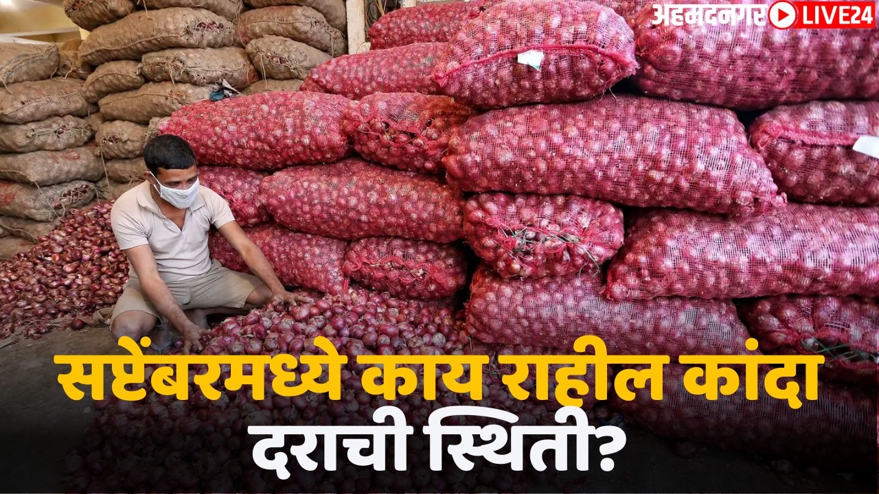 onion market rate