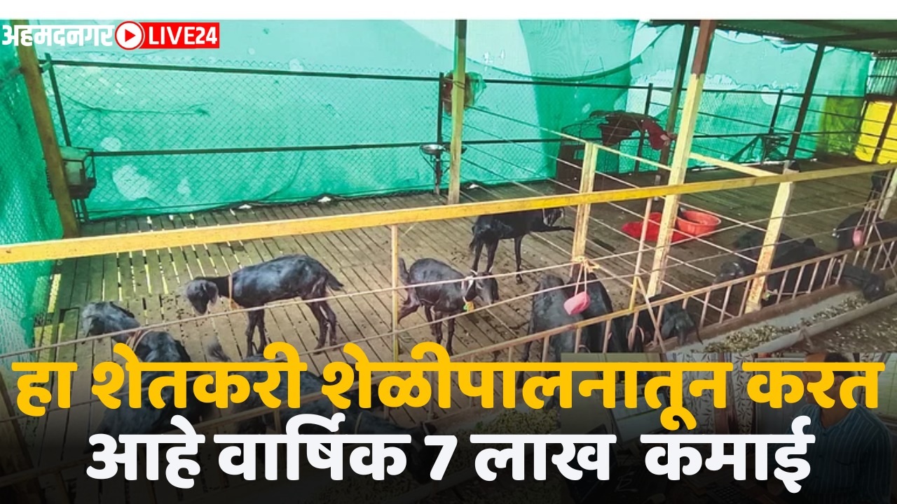 goat rearing