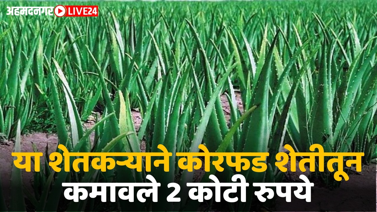 alovira farming