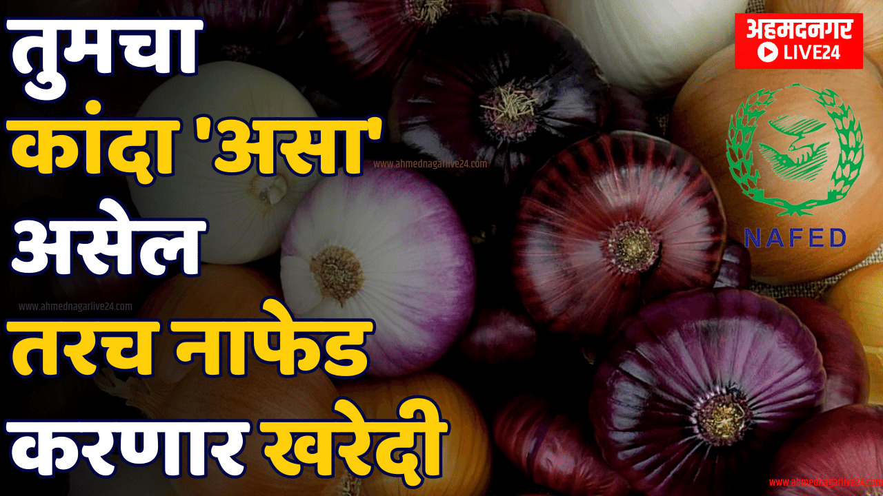 Onion