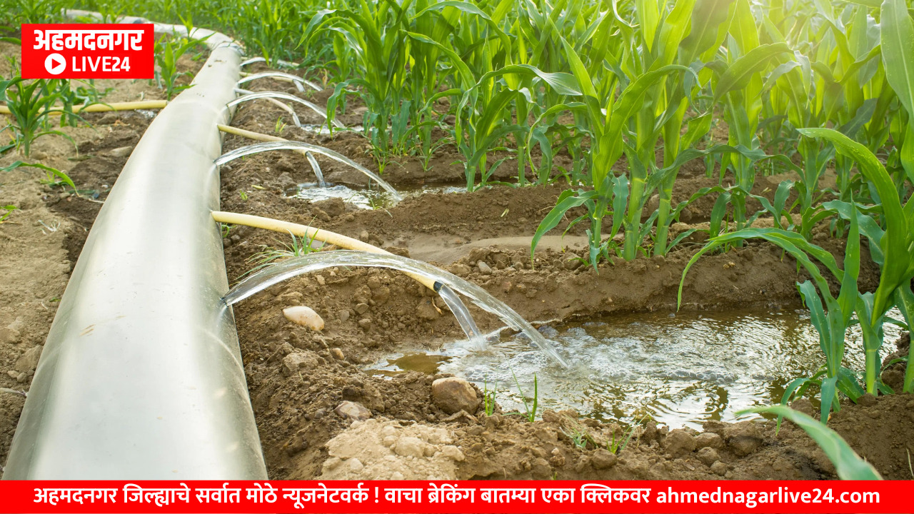 Farmer News