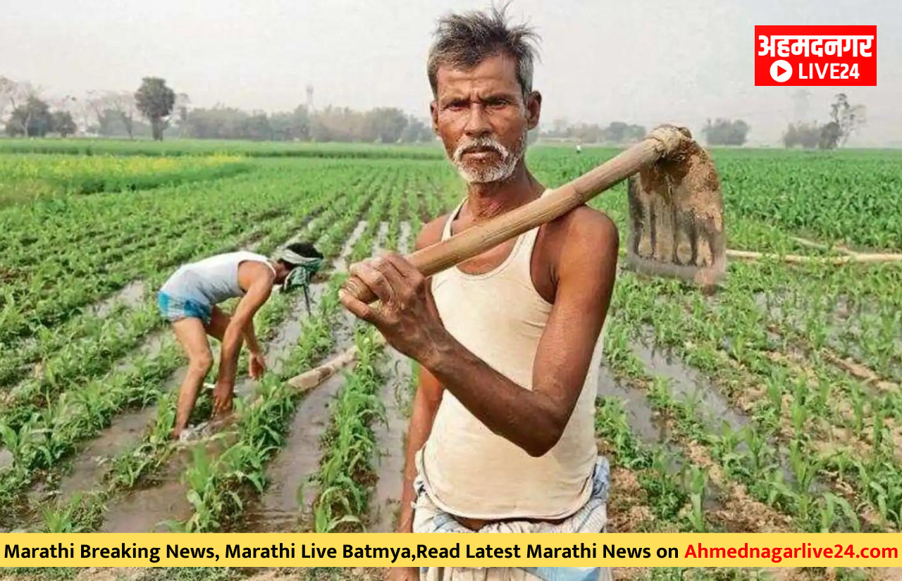 Farmer